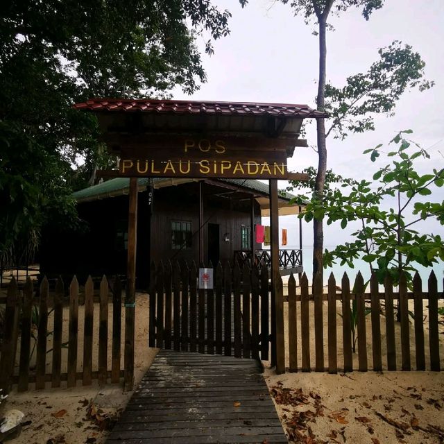 Dive in Sipadan island, Semporna, Sabah 