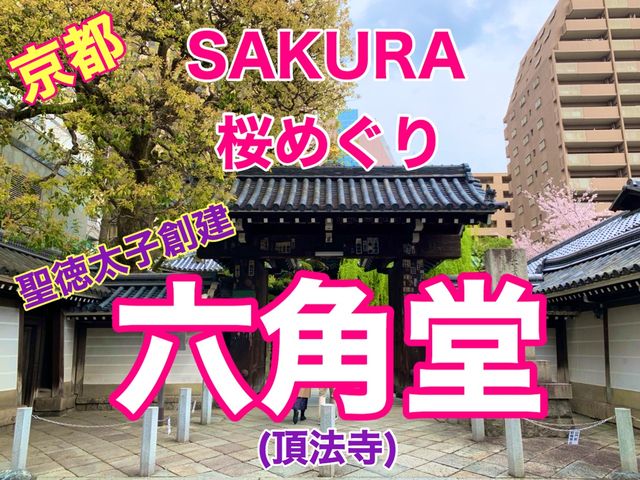 京都　SAKURA 桜めぐり❗️聖徳太子が創建した六角堂の桜に感動❗️