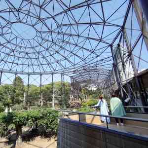 大阪 天王寺 夜の遊園地 天王寺動物園 Trip Com 大阪の旅のブログ