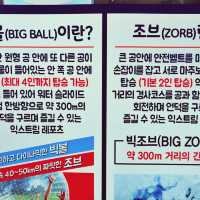 💦 색다른 여름액티비티 워터볼, 제주빅볼랜드