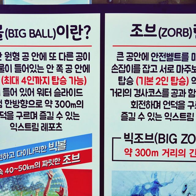 💦 색다른 여름액티비티 워터볼, 제주빅볼랜드