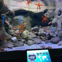 Seville aquarium 