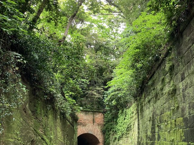 【横須賀】美しい無人島　\ 猿島/