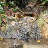 The Long Forgotten Bukit Batok Hillside