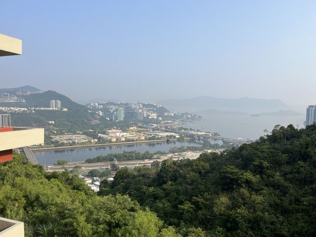 香港去camp好去處🏕⛺️近沙田醫院嘅camp
