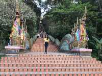 Mesmerizing Day tour at Doi Suthep Pui