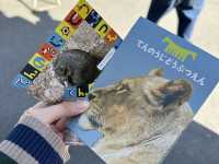 500円で見れる満足度高めの動物園🦁