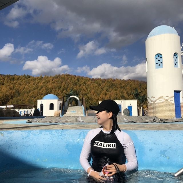 휘닉스파크