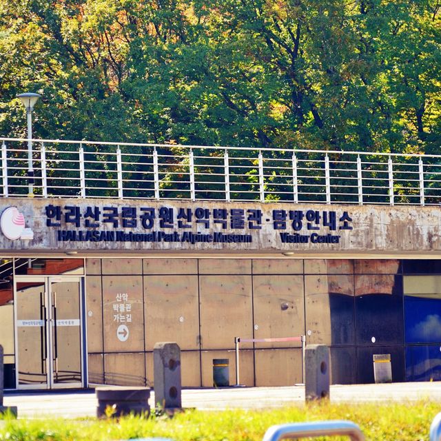 🍁 한라산 단풍구경 관음사 탐방로 어때요?