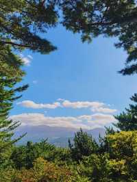 한라수목원 🌲 제주도 가을 피크닉