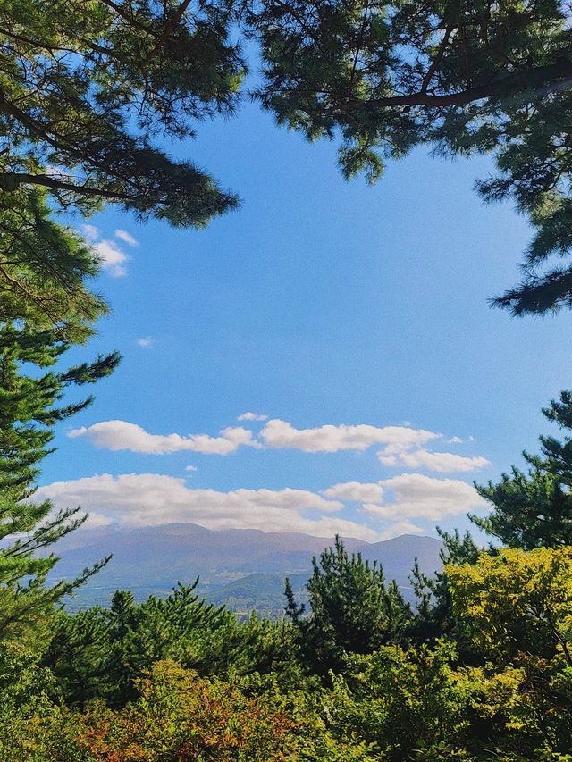 한라수목원 🌲 제주도 가을 피크닉