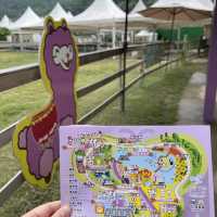 三角梅花展蝶豆花園之旅