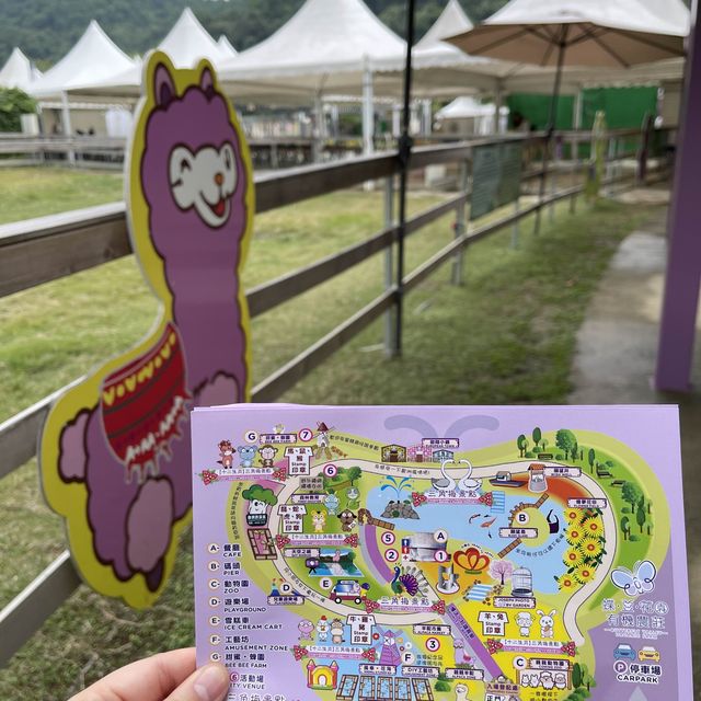 三角梅花展蝶豆花園之旅