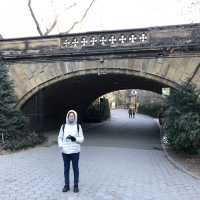 เที่ยว Central Park Zoo กัน