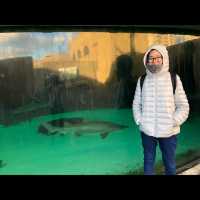 พามาเที่ยว New York Aquarium ค่ะ