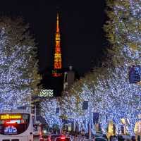 Winter Illumination @ Roppongi Hills 