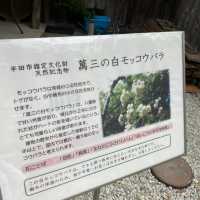 半田運河沿いのおすすめ観光スポット