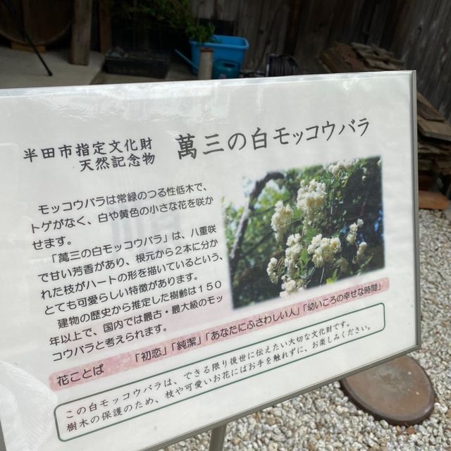 半田運河沿いのおすすめ観光スポット