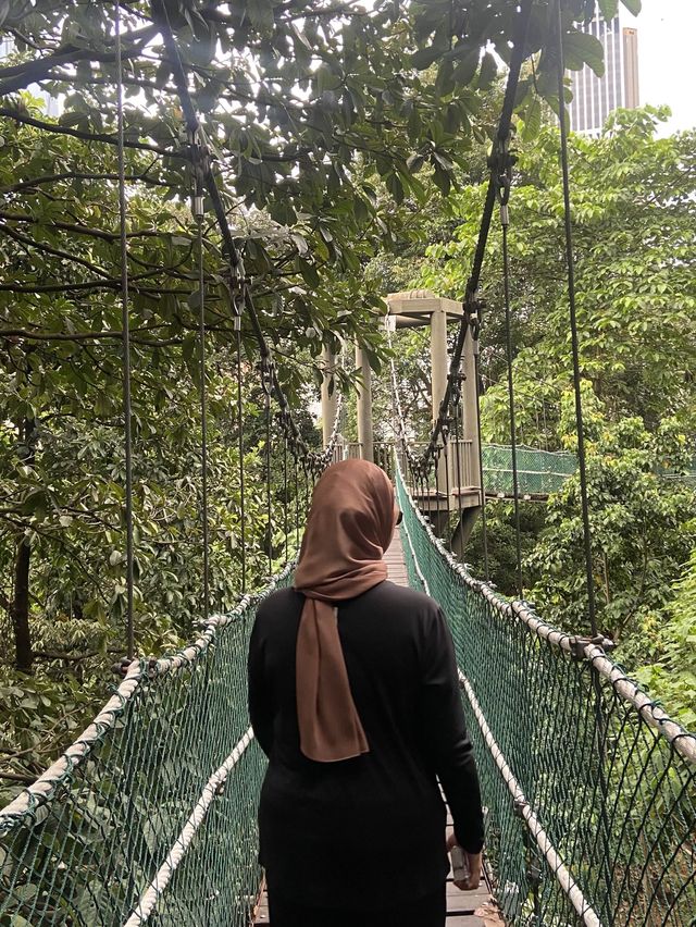 Forest in the middle of KL