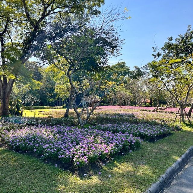 เดินเที่ยวชมสวน ที่สวนหลวงร.9