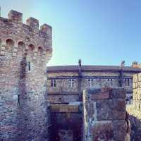 Magnificent Italian castle in Napa