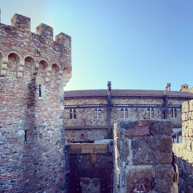 Magnificent Italian castle in Napa