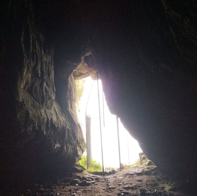 Kings cave and dinosaur print hike 