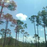 Florida 