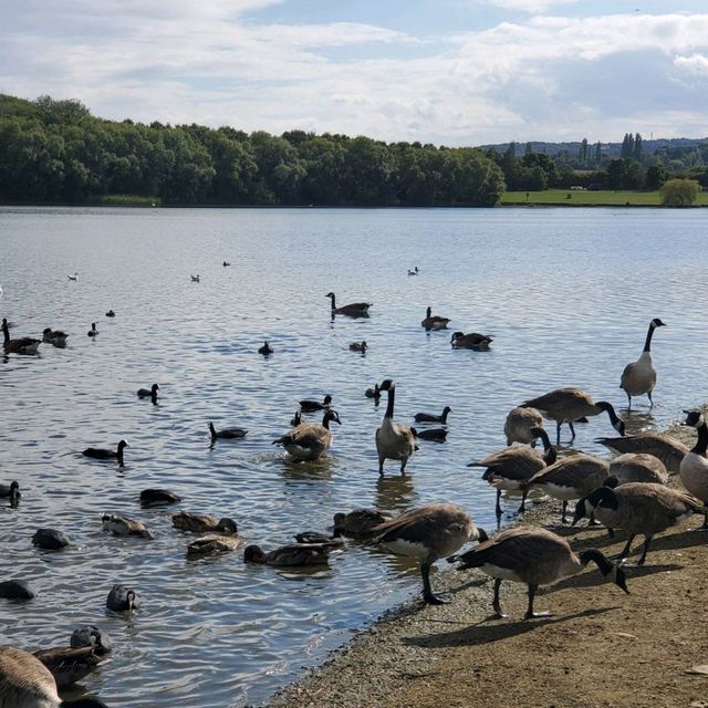 Pugneys Country Park 