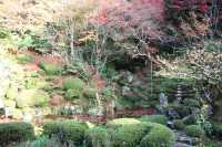 滋賀県　金剛輪寺の紅葉