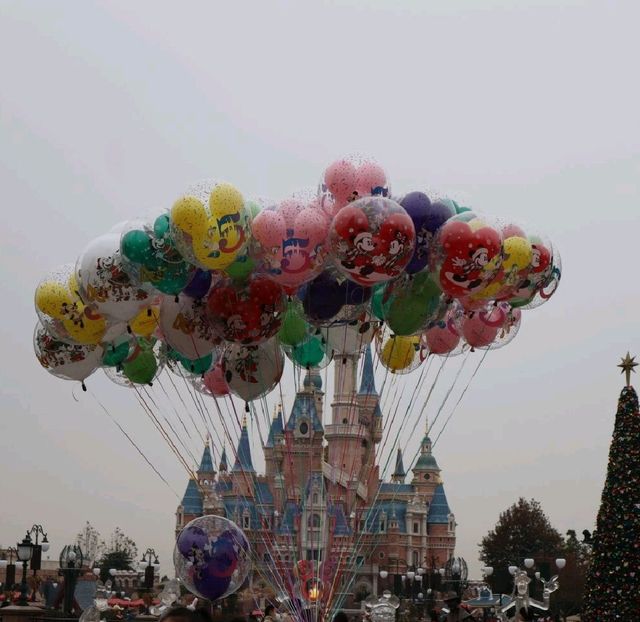 Shanghai Disneyland Fun