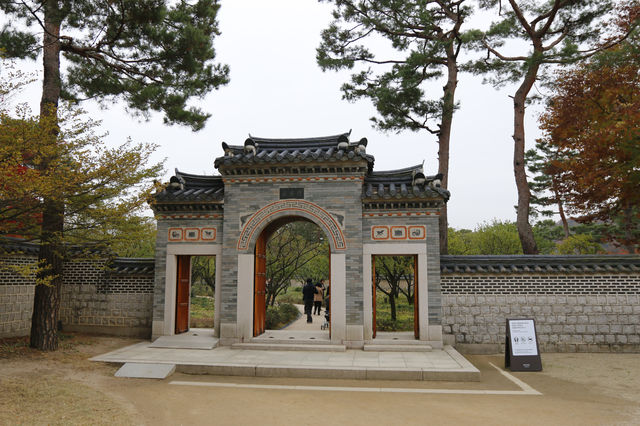 용인 호암미술관 산책하며 계절을 느껴요