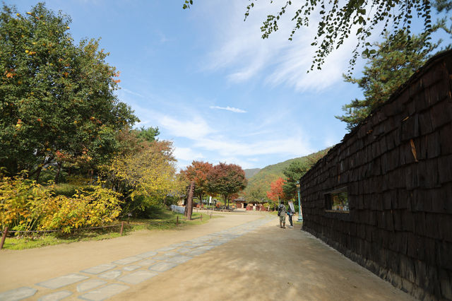 정선 아라리촌 풍경이 너무 예뻐