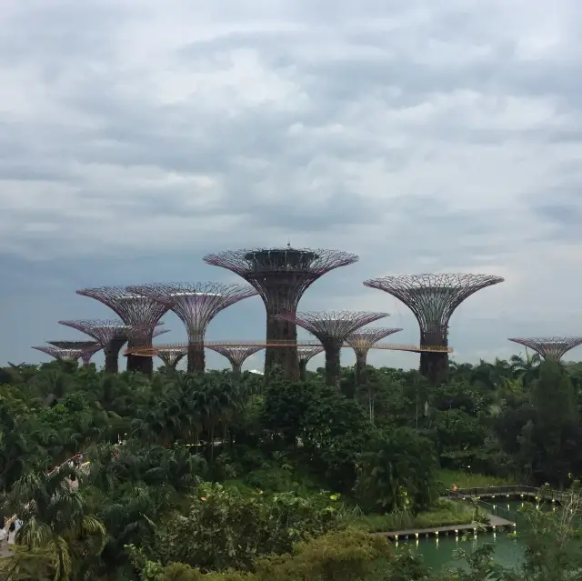 新加坡濱海灣花園：Gardens by the Bay
