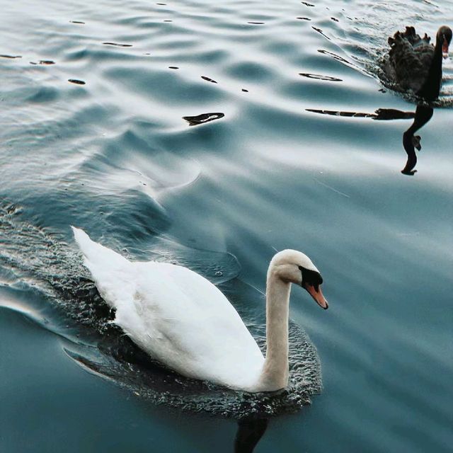 Beautiful Zixia Lake