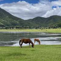 Wenhai lake, Lijiang, Yunnan 