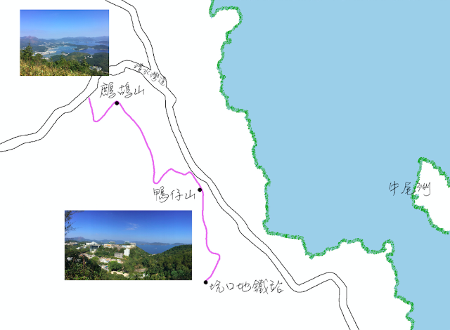 西貢鷓鴣山鴨仔山賞靚景