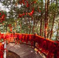 Zhangjiajie National Forest Park