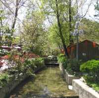 打卡甘肅花橋村