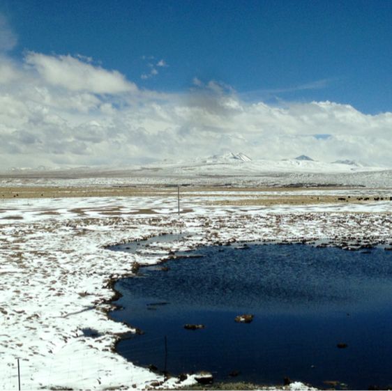 on board the Tibet Express train