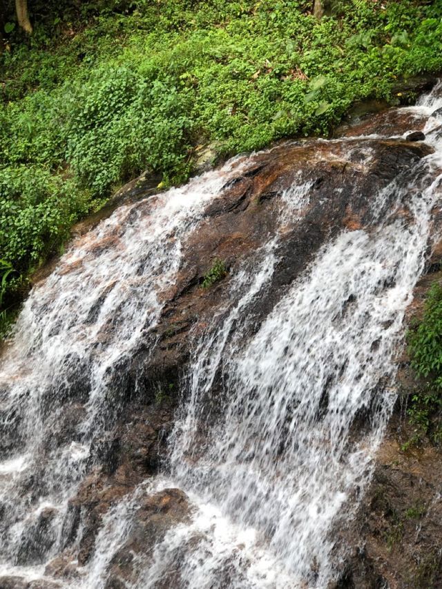 泰國清邁素貼山