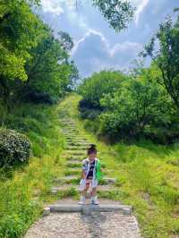 Go to the mountains and breathe in the forest | Off-the-beaten-path family hiking routes near Hangzhou
