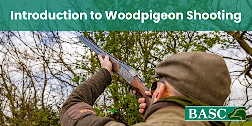 Introduction to Woodpigeon Shooting- Bedfordshire | Sporting Targets