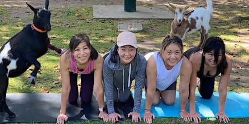 Goat Yoga in the Park - April 20th at 9:00am | Marine Park (Next to the Tennis Courts)