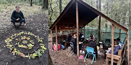 Finding Stories in Nature | Edens Forest