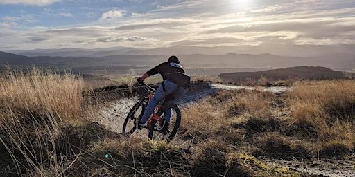 Tarland Trail Day | Tarland Trails - Pittenderich