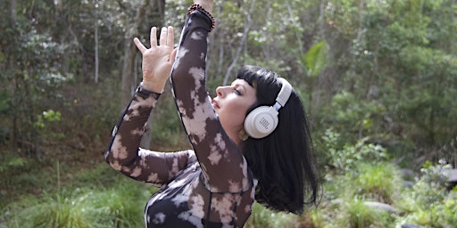 After Dark Spring | Zen Space