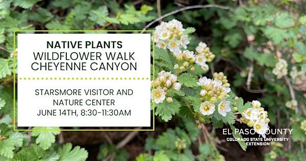 Native Plants: Wildflower Walk Cheyenne Canyon | 2120 S Cheyenne Canyon Rd