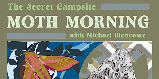 Moth Morning at The Secret Campsite near Lewes | The Secret Campsite