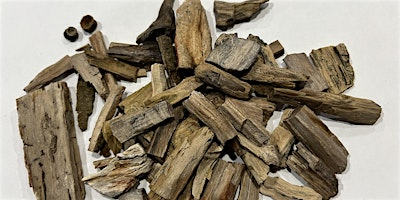Bruneau Petrified Wood:  Geologic Field Trip | Idaho Museum of Mining and Geology